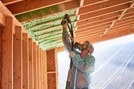 Best Eco-Friendly or Green Insulation Solutions  in Woodville, OH